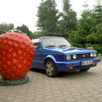 KILLERBEEREN GREIFEN AN