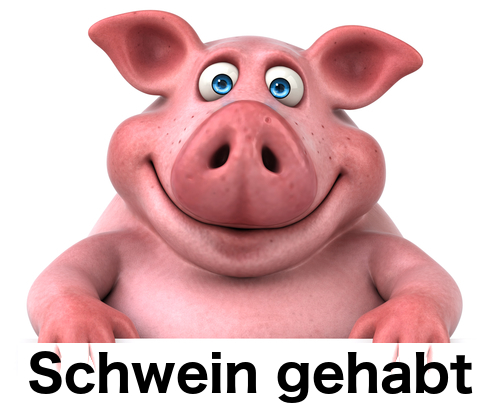 This one simple sentence will make your colleagues laugh (Schwein gehabt) «  Herr Professor